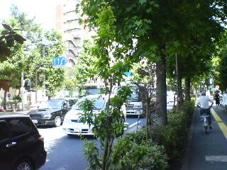 20110604102714.jpg